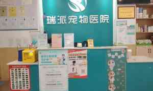 郑州宠物医疗服务推荐:涵盖心脏、眼科、骨科及在线咨询的优质宠物医院