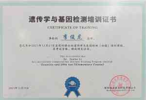 深圳宠物医疗品牌推荐：聚焦瑞派福华龙华，多领域服务受宠主认可