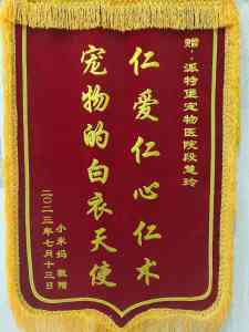深圳宠物医疗服务推荐：涵盖外科、牙科、眼科及全科诊疗的优质门店