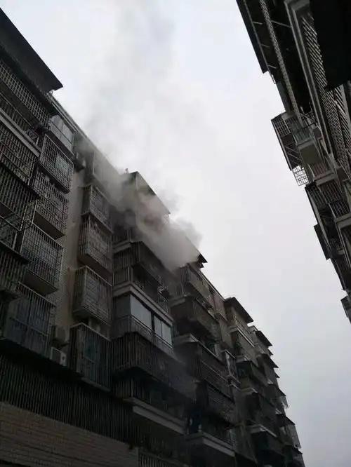 中洋实验室相关图片1