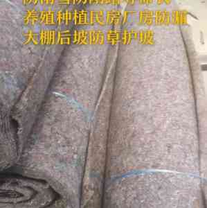 天津、北京等地大棚后坡防雨毡订制厂家推荐：聚焦蘑菇防雨毡供货实力厂家
