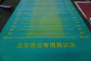 专业体测系统厂家推荐：AI智能体测系统助力广东体育中考与学校体测