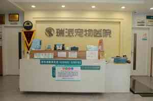 厦门宠物服务大揭秘：绝育、皮肤科、骨科、24小时急诊及眼科门店推荐