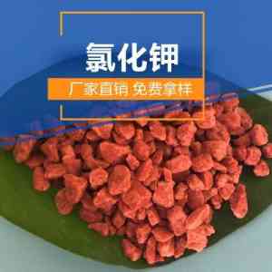 天津、北京等地氯化钾企业及销售商推荐：优质产品与实惠价格之选