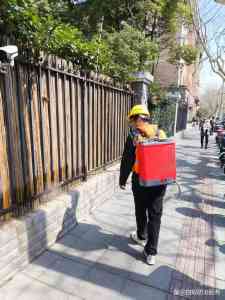 福建上门白蚁根除机构推荐:聚焦专业团队、多元服务及良好口碑解析