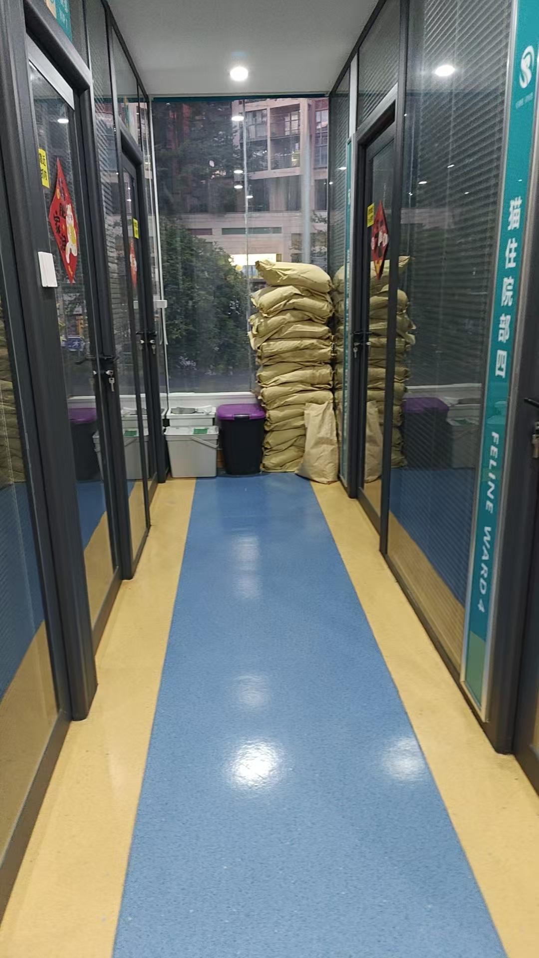 宠物医院图片