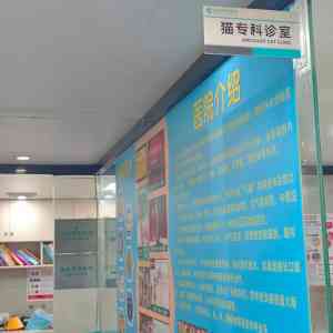 深圳宠物医疗品牌推荐:聚焦绝育、微创、体检、疫苗服务优质品牌