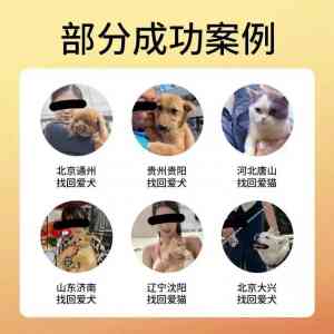 西宁、乌鲁木齐、银川等地找狗服务推荐：上海孙锦荣寻宠物服务工作室