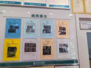西安宠物外科、体检、手术及内科护理优质宠物医院推荐,聚焦西安安仁爱宠