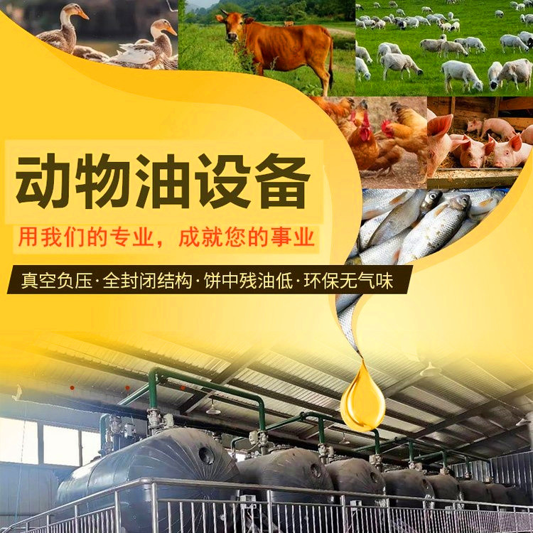动物油加工设备 屠宰内脏炼油设备 动物油熬炼设备
