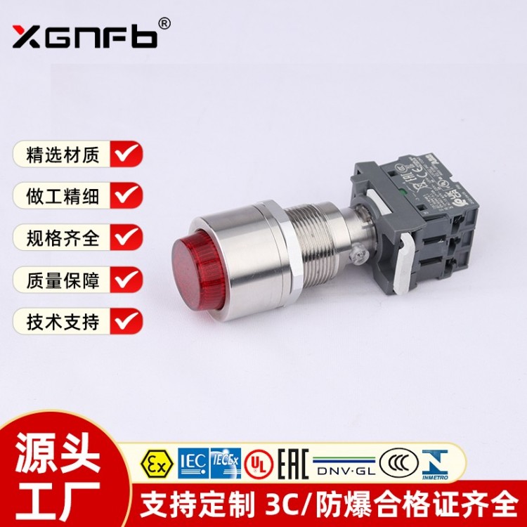 XG8098-防爆带灯按钮