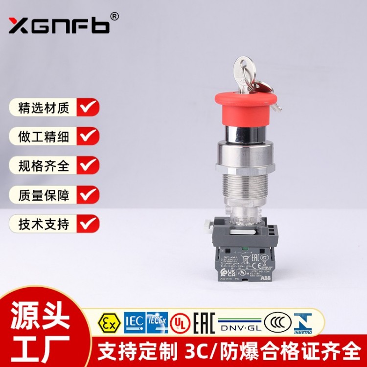 防爆按钮 （带钥匙急停）XG8096-c2