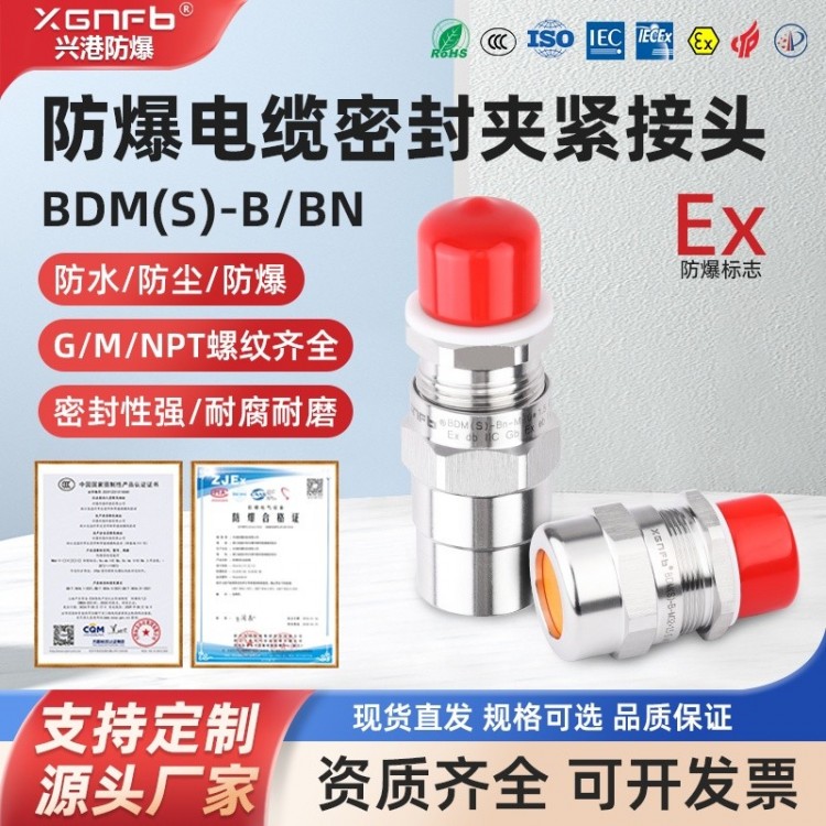 BDM(S)-BBN防爆电缆密封夹紧接头