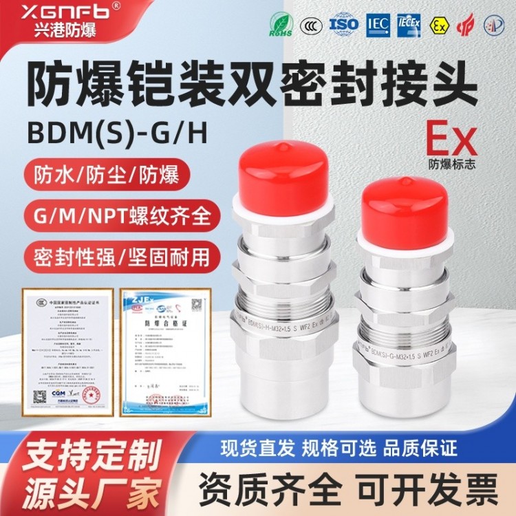 BDM(S)-GH防爆铠装双密封接头