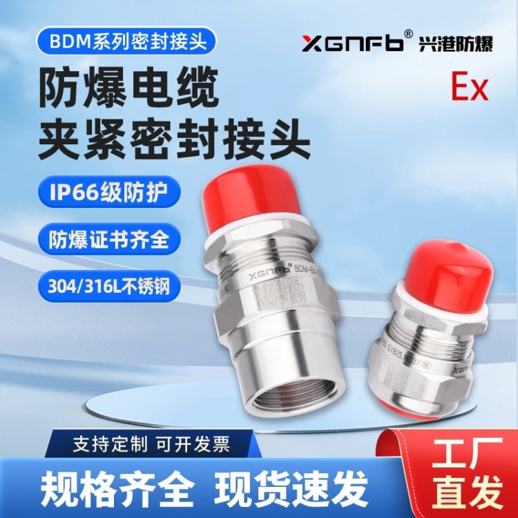 BDM(X)-B、BDM(X)-Bn 防爆电缆夹紧密封接头