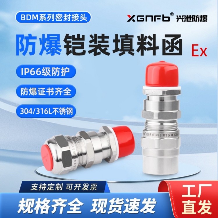 BDM(X)-E、BDM(X)-F 防爆电缆夹紧密封接头