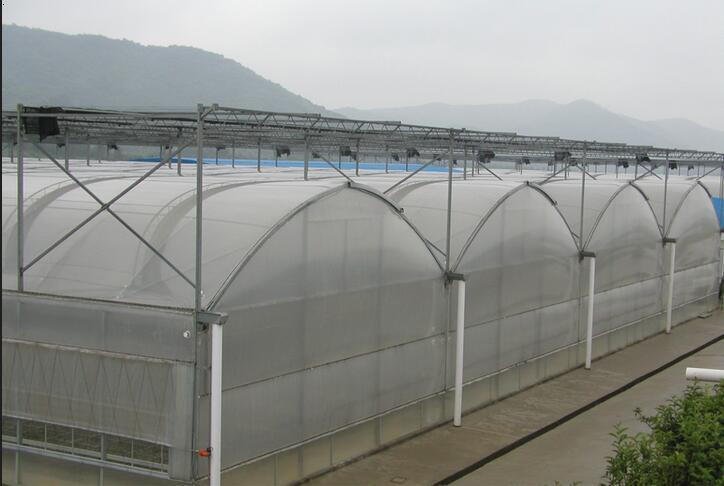 温室产品展示