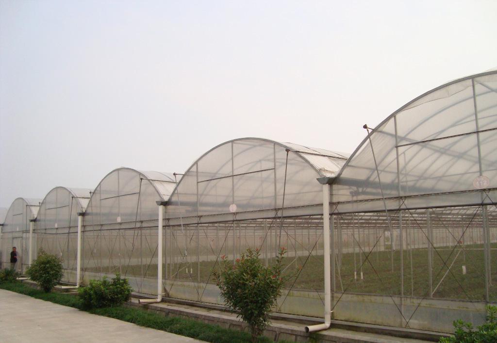 温室施工现场