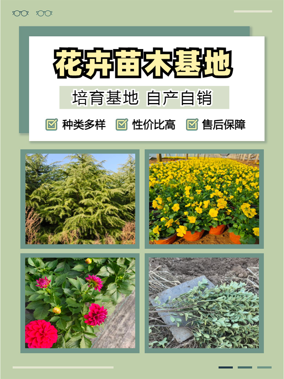 花卉图片