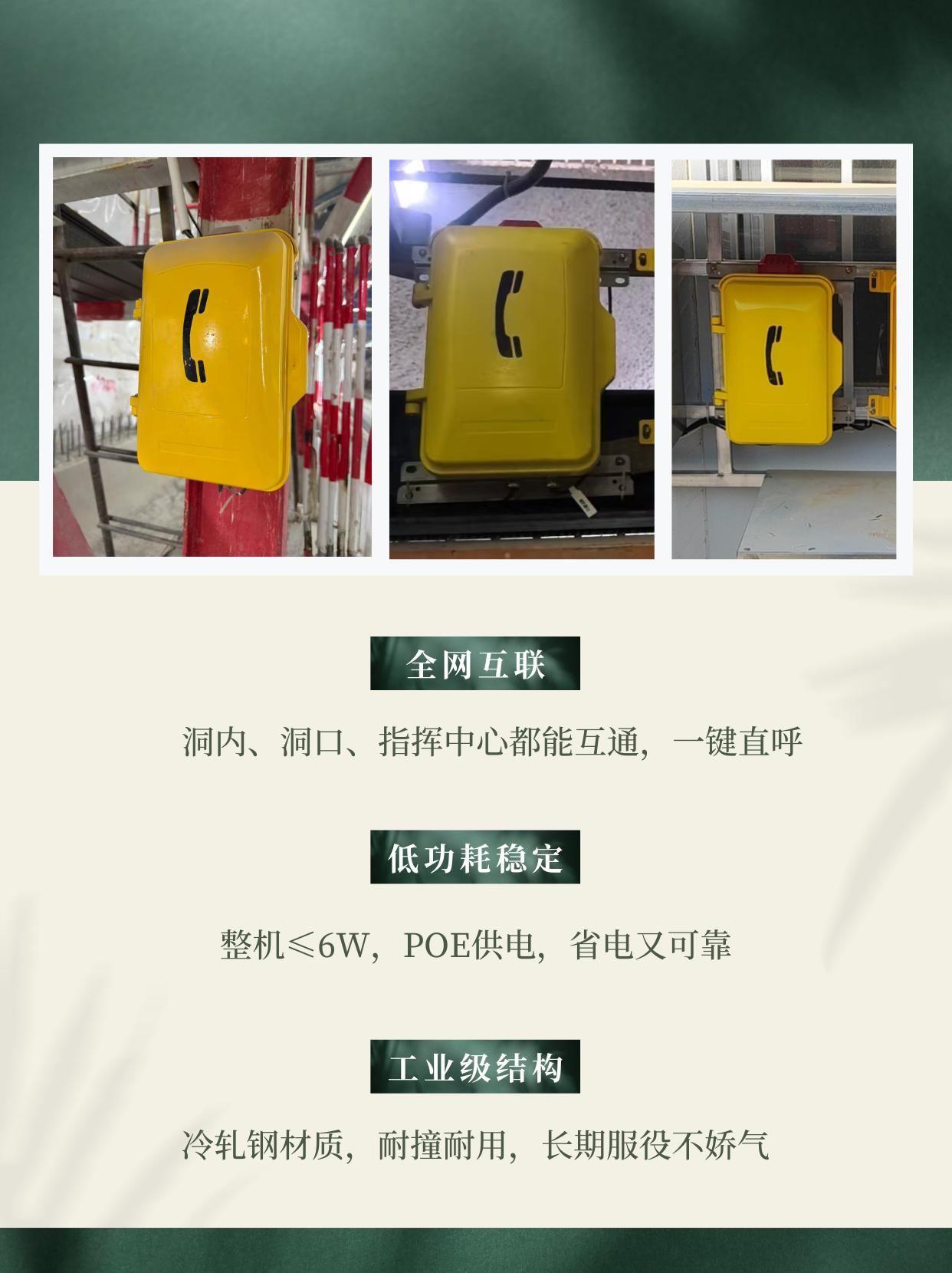 咏思相关产品展示1
