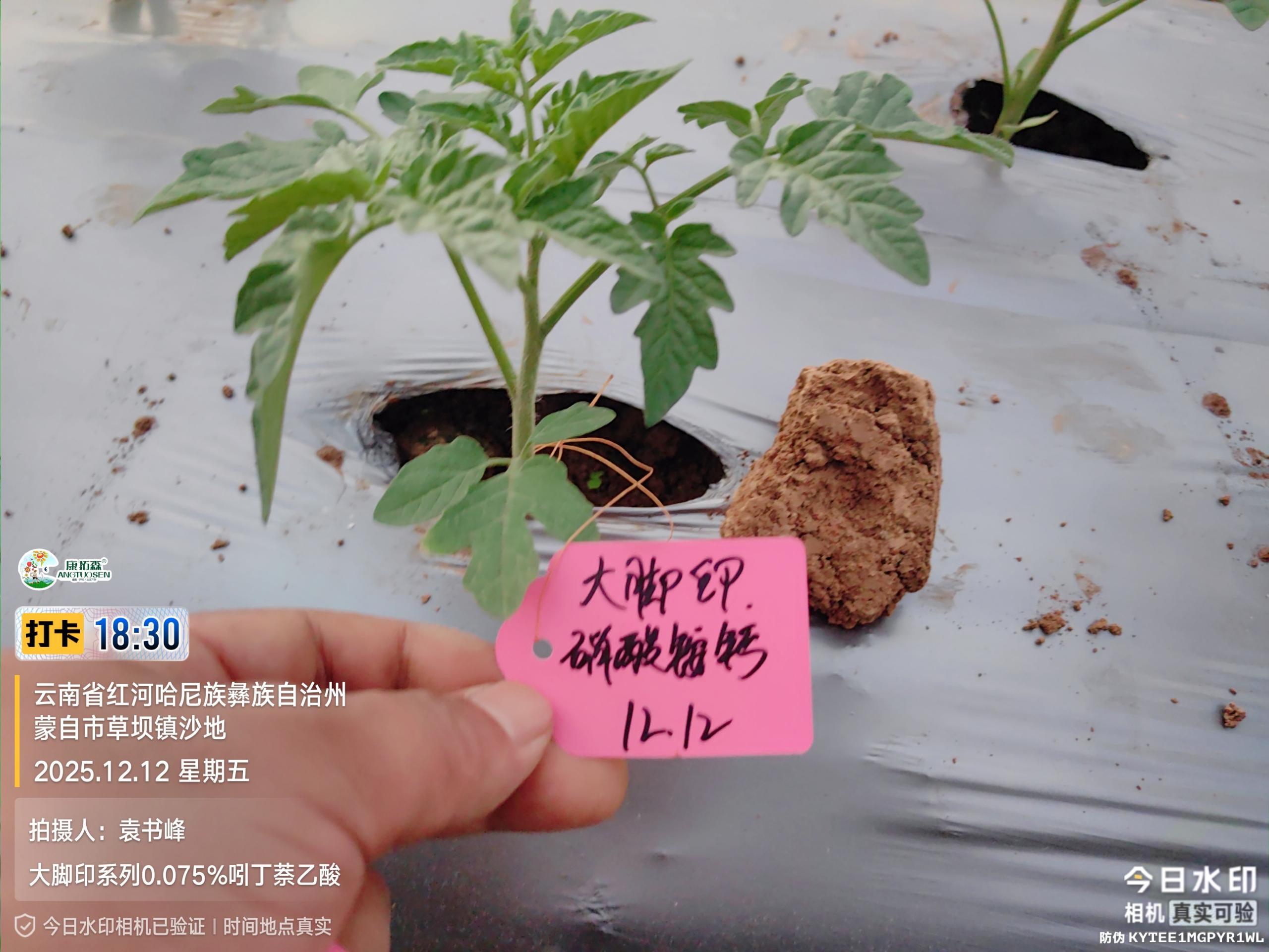 相关产品图片 2