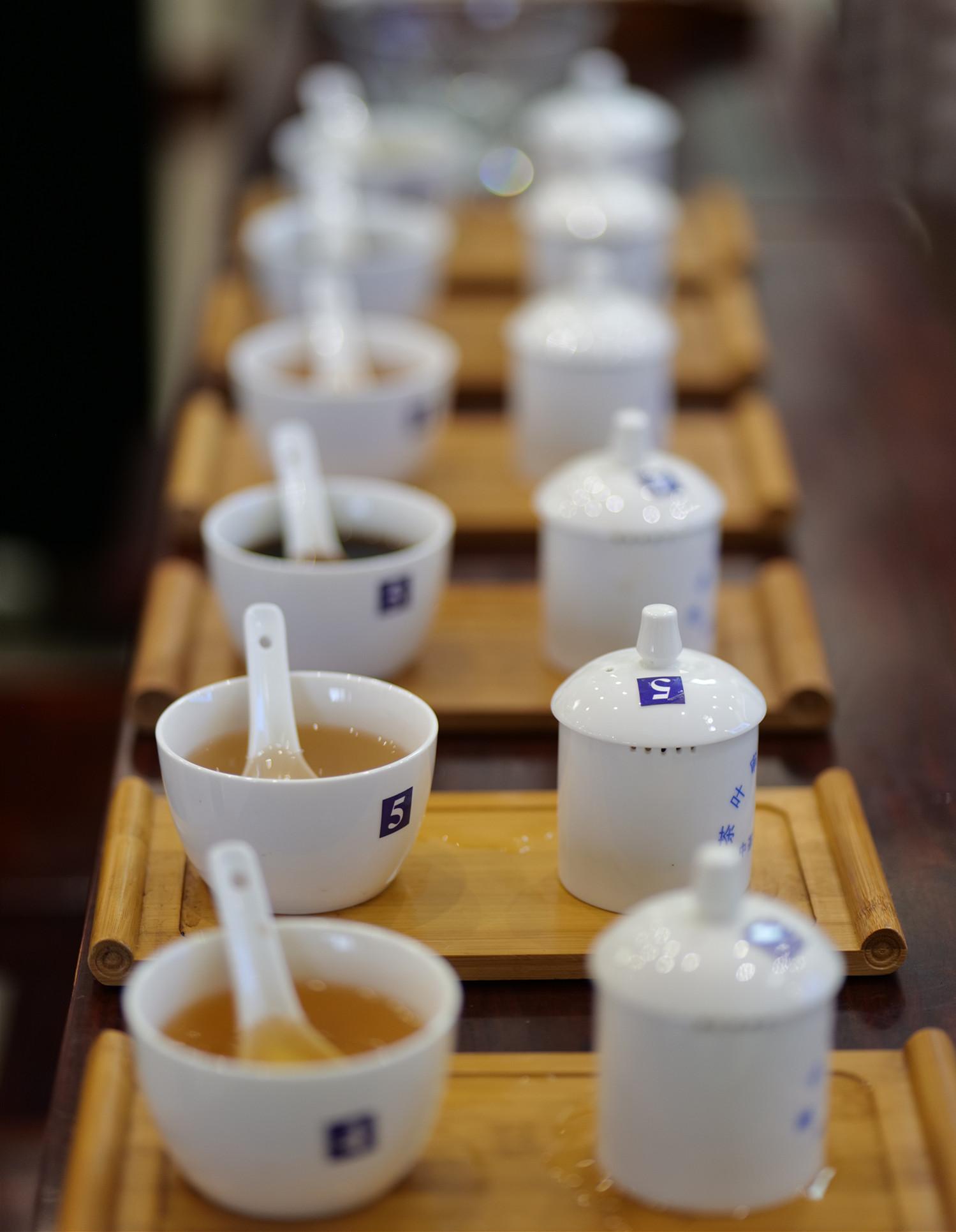 茶艺培训图片