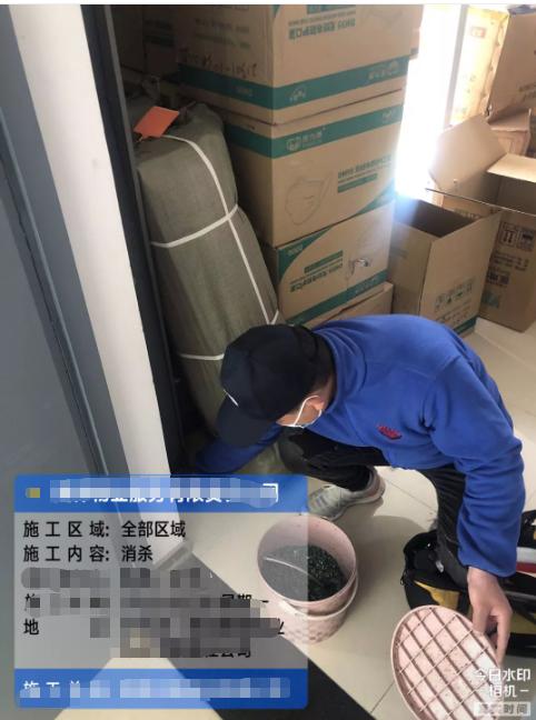 虫害防治图片