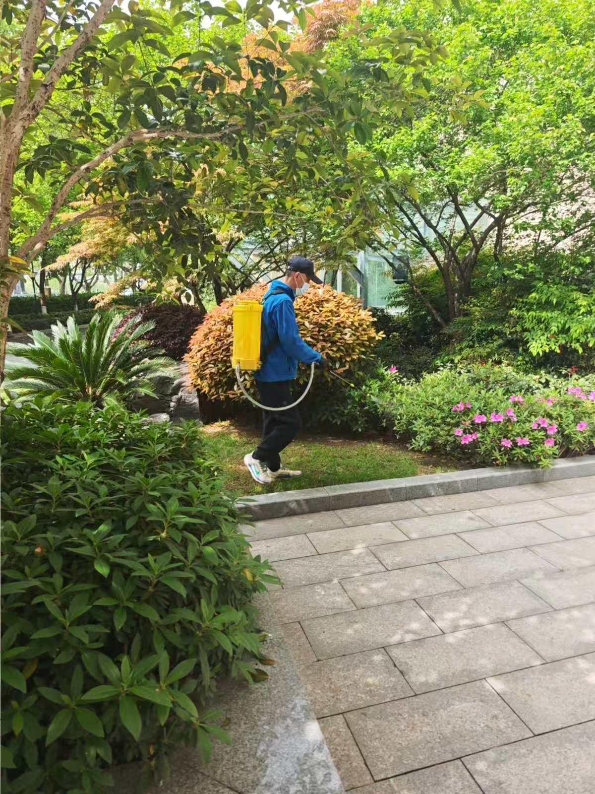 虫害防治图片
