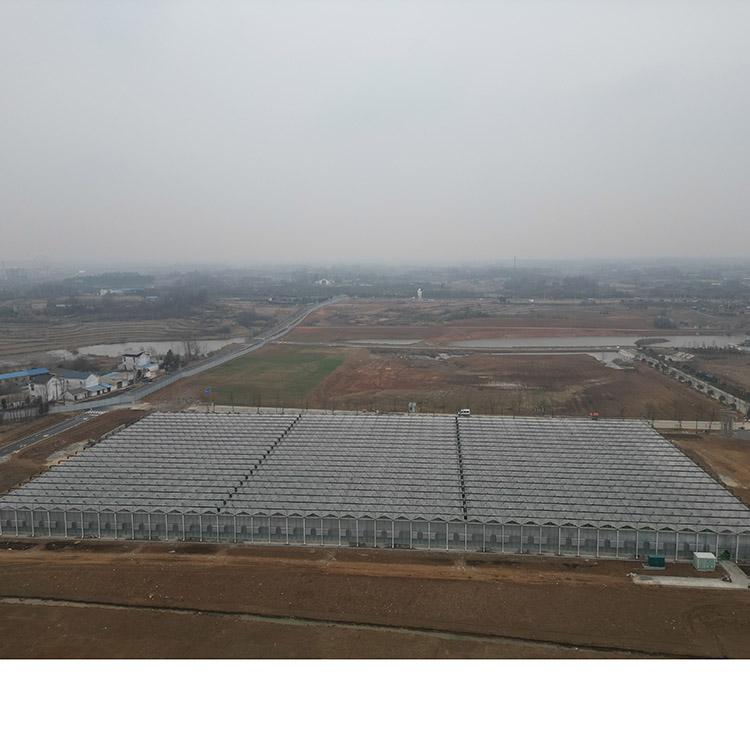 温室图片 2