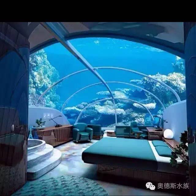 铝合金隔断鱼缸示例
