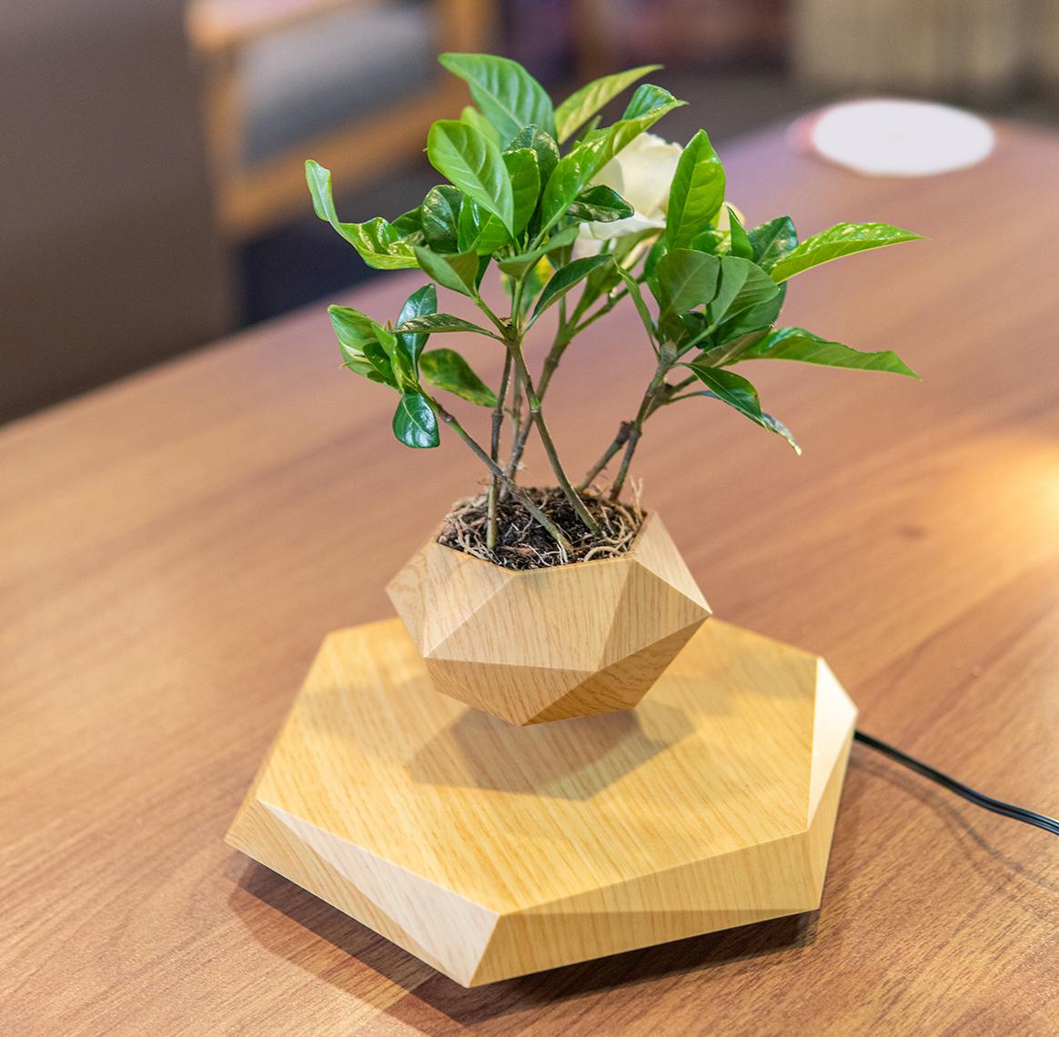 磁悬浮技术应用案例图