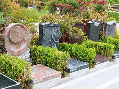 园区景色3