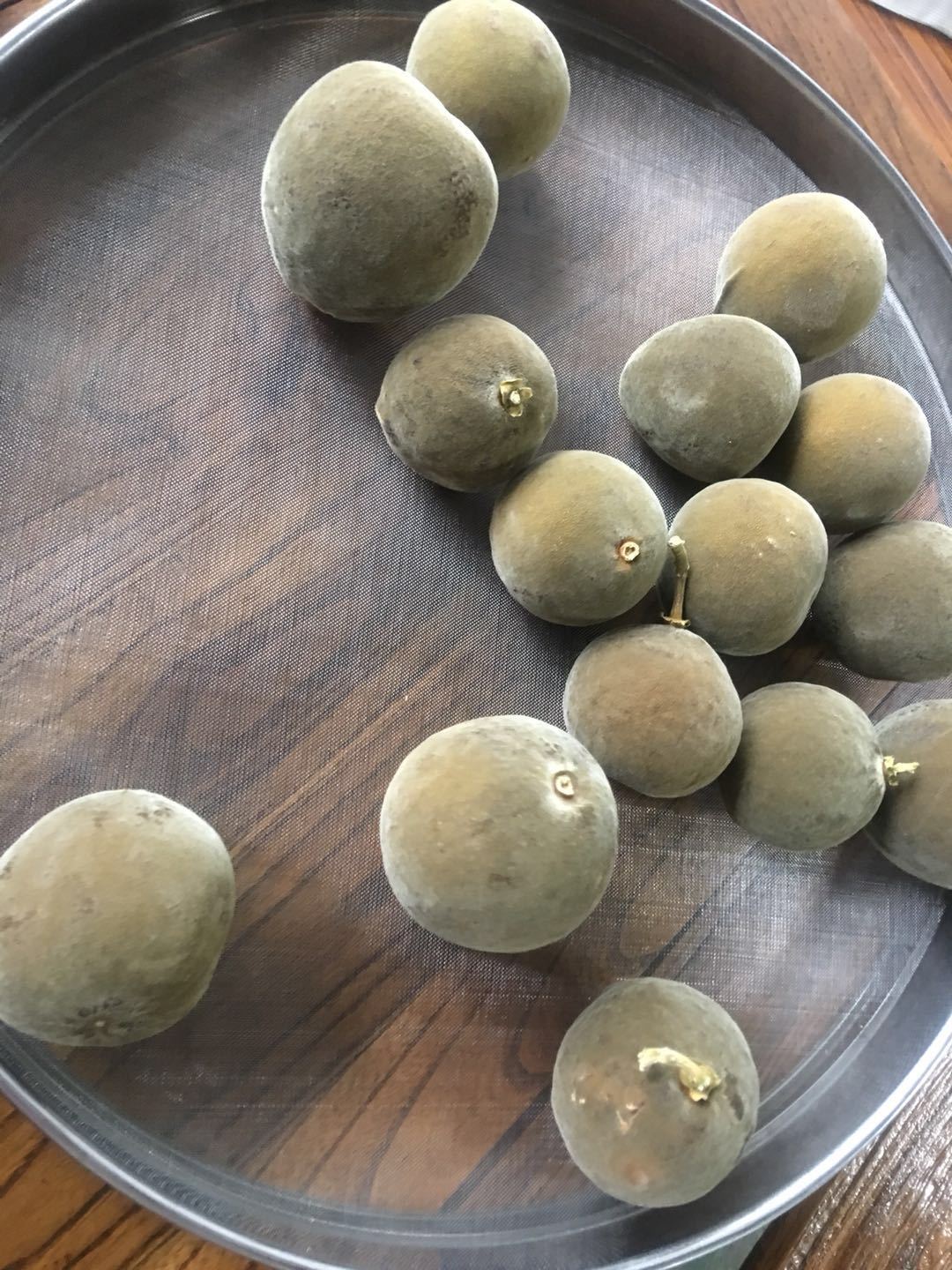 烘干设备图片1