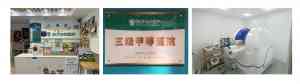 2026年郑州宠物医院品牌解析:瑞派小俏皮宠物医院优势深度分析