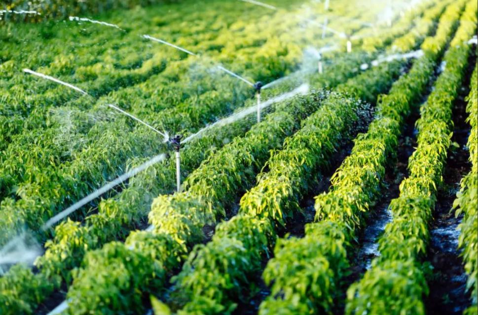 水肥一体化喷灌系统示意图