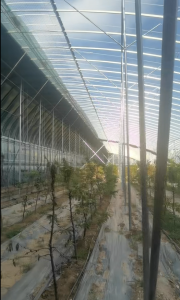 天津樱桃大棚管厂家推荐:兴润达专注大棚设计与生产