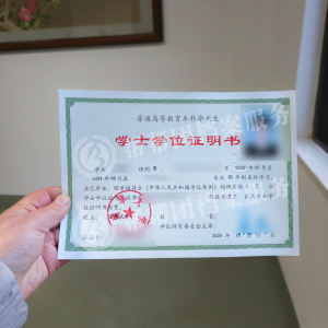 2026年学位证补办服务公司推荐:解析长沙帮帮团档案管理服务有限公司优势