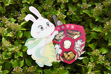 药食同源文创产品