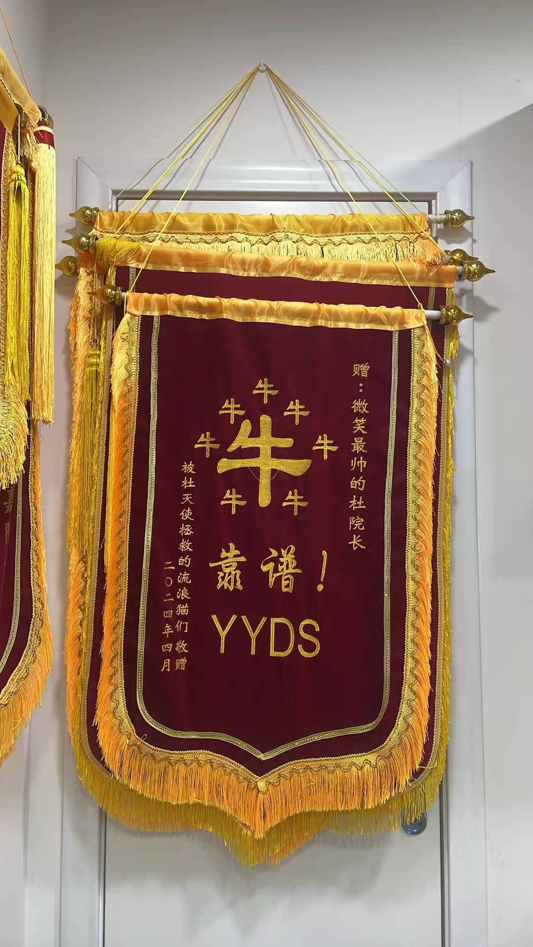 深圳宠物医院诊疗环境