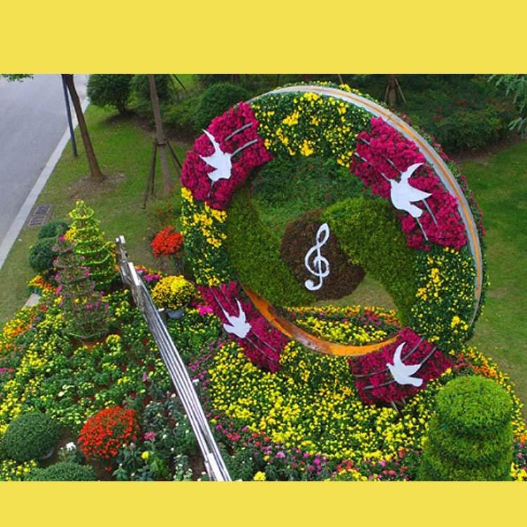 开封前方园艺菊花基地