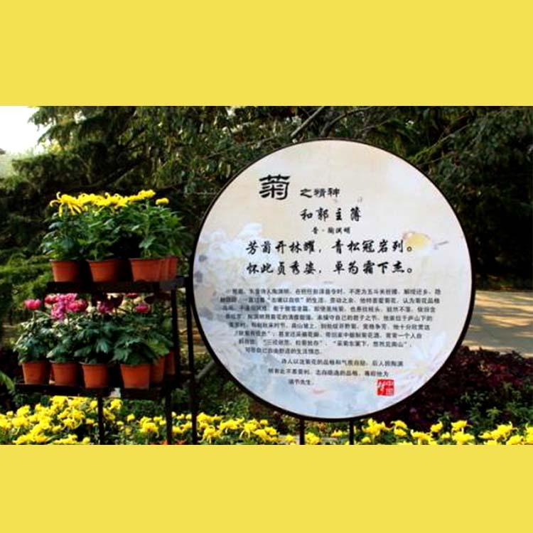 开封前方园艺菊展现场