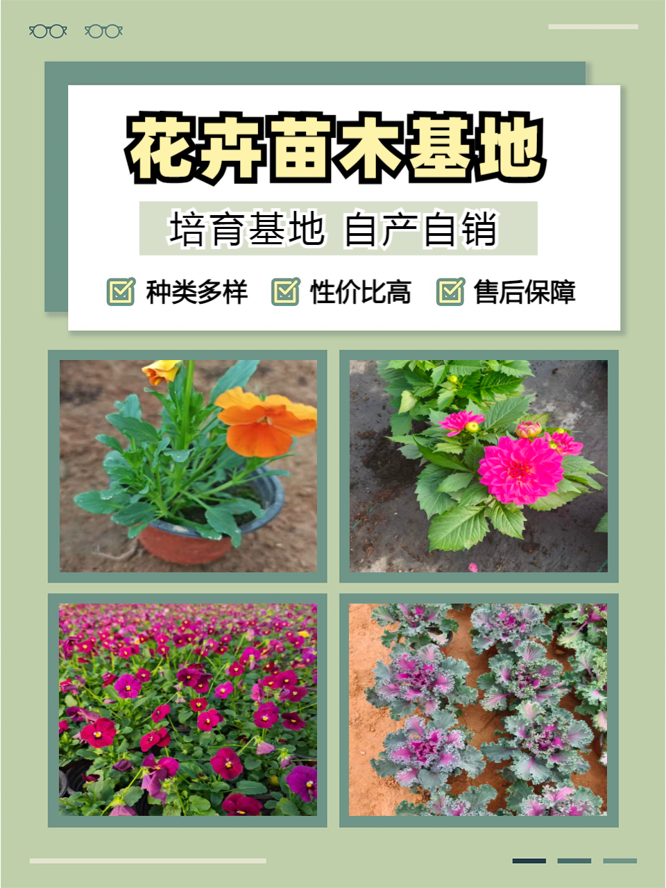 青州志民花卉苗木基地实景