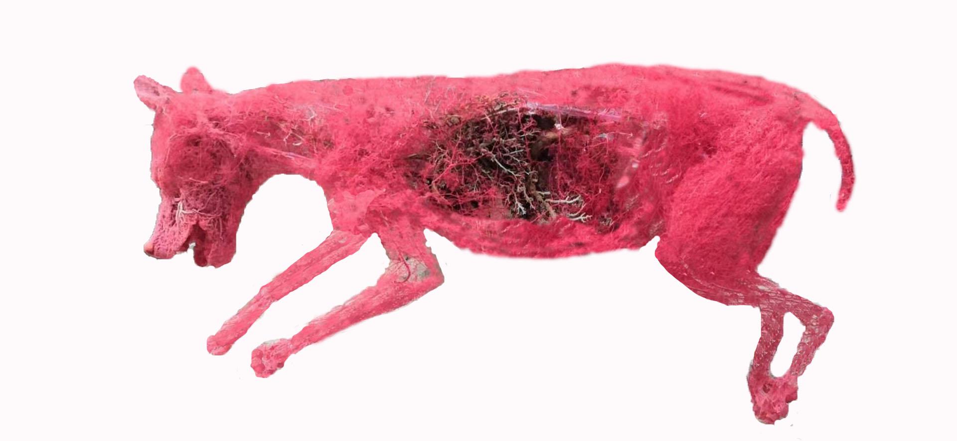 生物显微玻片