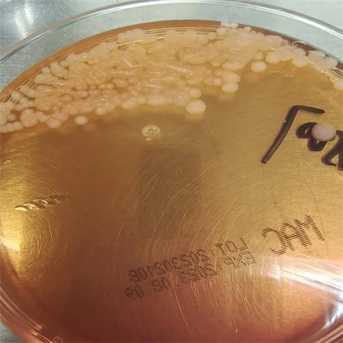 信阳莱耀生物科技实验室