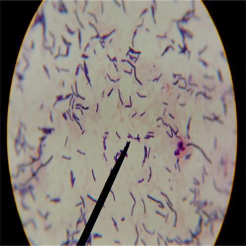 信阳莱耀生物科技标准物质