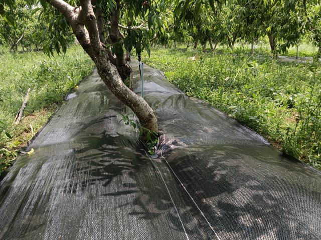 山东环农生态科技生产车间