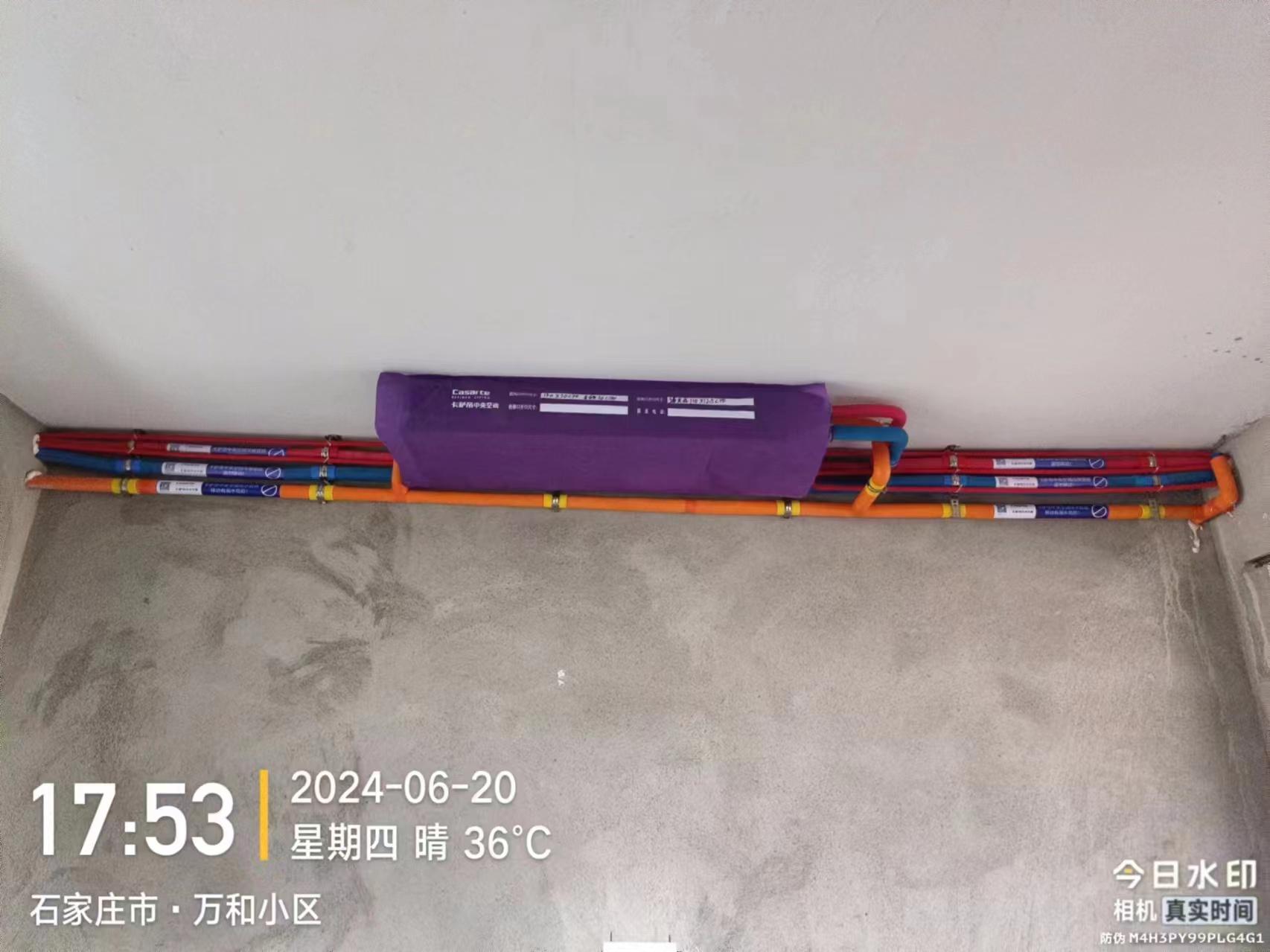 传力贸易服务案例