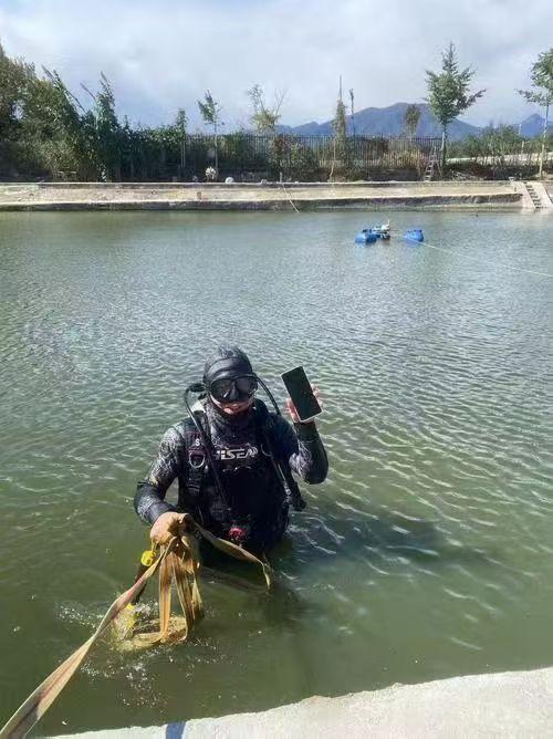 专业蛙人团队
