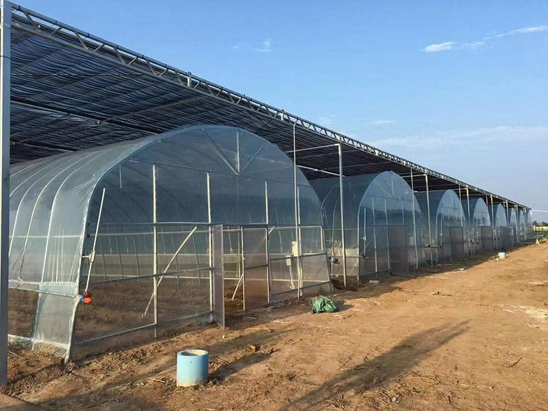 沃恩特温室大棚案例图