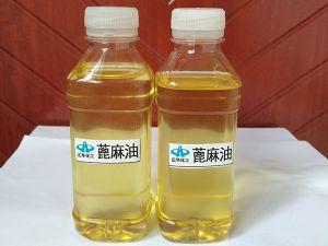 潍坊正华化工生产基地